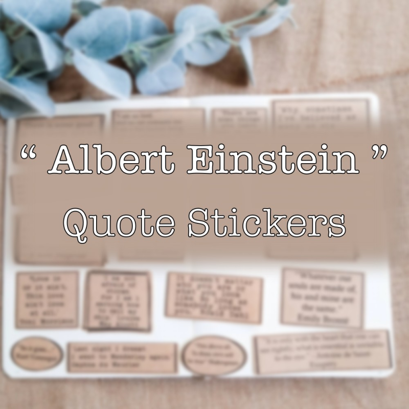 Albert Einstein Quote Sticker